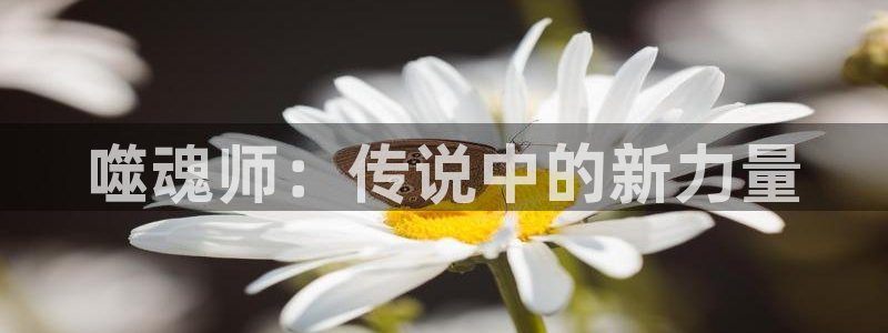 汗汗漫画在线观看入口nba