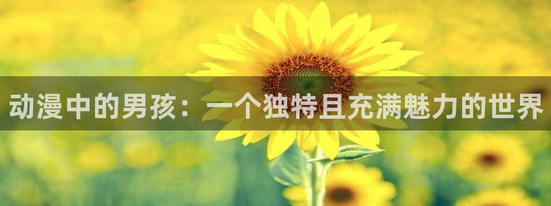 羞羞漫画sss汗汗漫画：动漫中的男孩：一个独特且充满魅力的世界