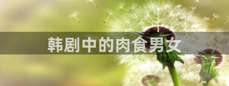 汗汗漫画免费阅读无限下拉式：韩剧中的肉食男女