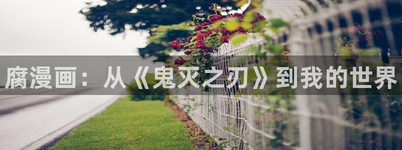 汗汗漫画在线观看免费阅读：腐漫画：从《鬼灭之刃》到我的世界