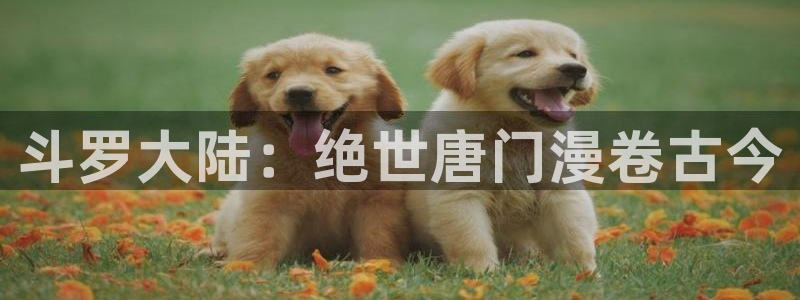 汗汗漫画网官：斗罗大陆：绝世唐门漫卷古今