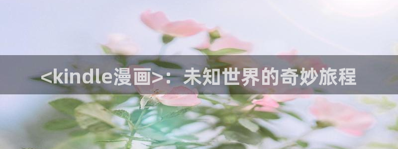 汗汗漫画渗透测试